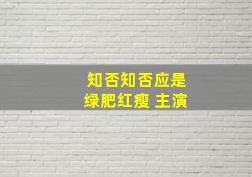 知否知否应是绿肥红瘦 主演